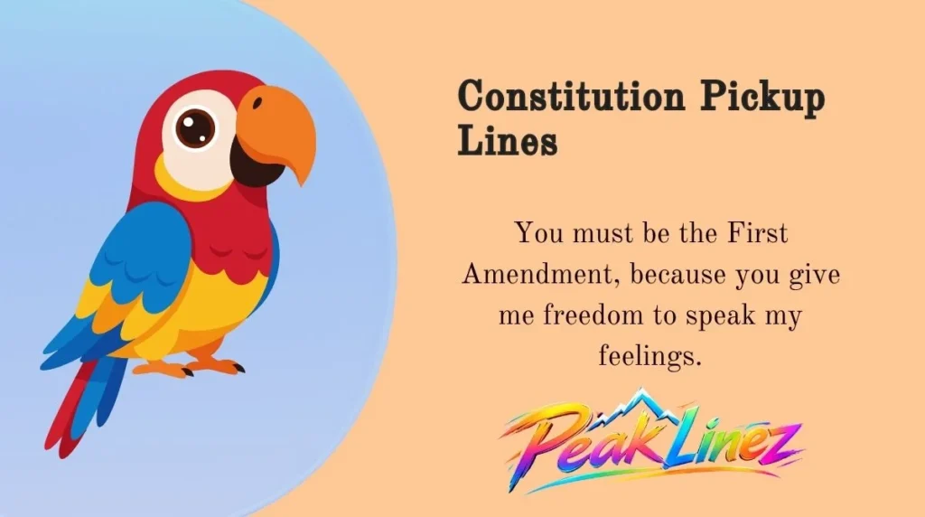 Constitution Pickup Lines