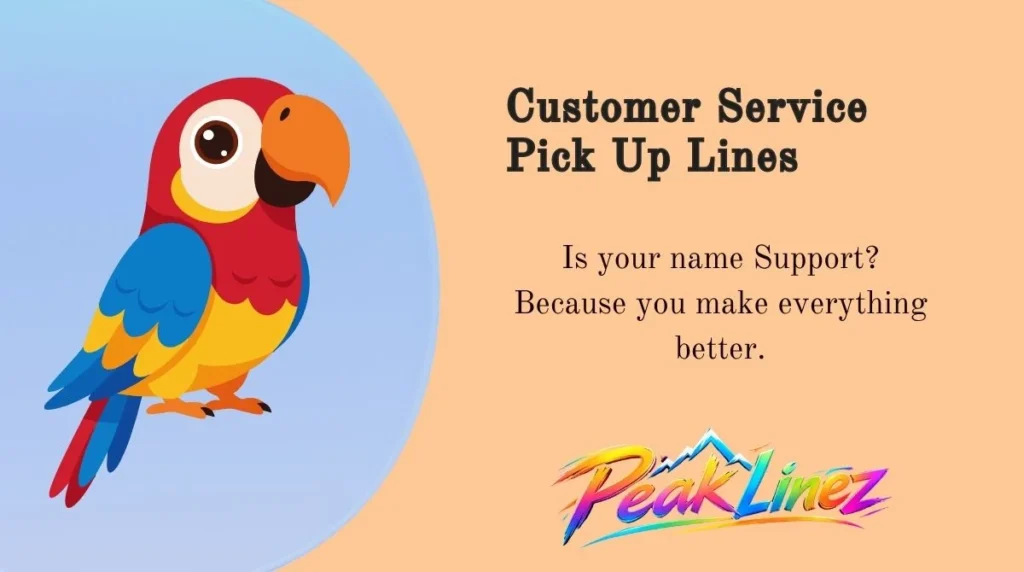 Customer Service Pick Up Lines
