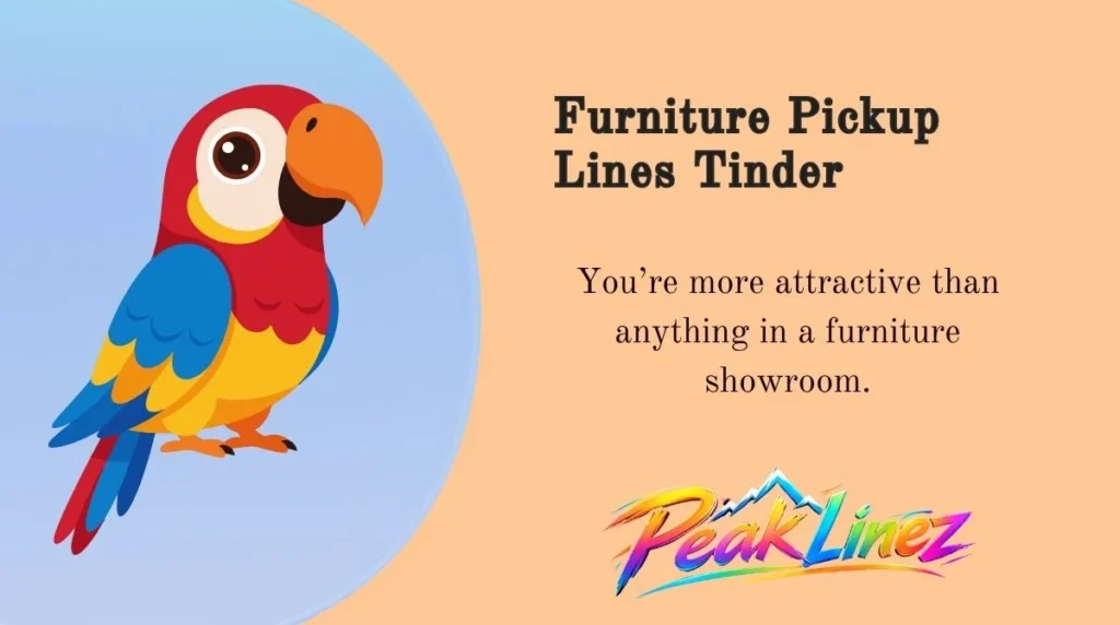 Furniture Pickup Lines Tinder